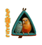 ウロコインコ界隈で流行りのスタンプその壱（個別スタンプ：32）