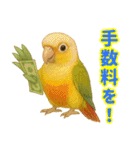 ウロコインコ界隈で流行りのスタンプその壱（個別スタンプ：36）