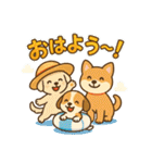 ふわもこ犬の夏あそびスタンプ（個別スタンプ：1）