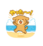 ふわもこ犬の夏あそびスタンプ（個別スタンプ：3）
