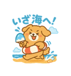 ふわもこ犬の夏あそびスタンプ（個別スタンプ：12）