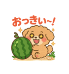 ふわもこ犬の夏あそびスタンプ（個別スタンプ：13）