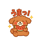 ふわもこ犬の夏あそびスタンプ（個別スタンプ：15）