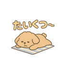 ふわもこ犬の夏あそびスタンプ（個別スタンプ：22）