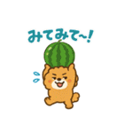 ふわもこ犬の夏あそびスタンプ（個別スタンプ：23）