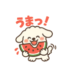 ふわもこ犬の夏あそびスタンプ（個別スタンプ：36）