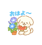 ふわもこ犬の夏あそびスタンプ（個別スタンプ：37）