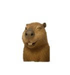 動物園と絶滅種の変顔（個別スタンプ：13）
