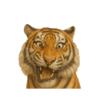 動物園と絶滅種の変顔（個別スタンプ：21）