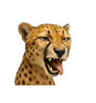 動物園と絶滅種の変顔（個別スタンプ：22）