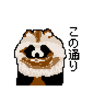 ドットのたぬき6（個別スタンプ：3）