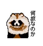 ドットのたぬき6（個別スタンプ：4）