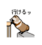 ドットのたぬき6（個別スタンプ：9）