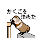 ドットのたぬき6（個別スタンプ：11）