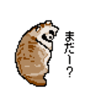 ドットのたぬき6（個別スタンプ：17）