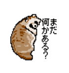 ドットのたぬき6（個別スタンプ：19）
