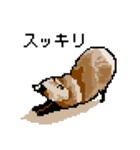 ドットのたぬき6（個別スタンプ：28）