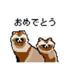 ドットのたぬき6（個別スタンプ：31）