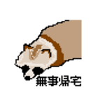 ドットのたぬき6（個別スタンプ：33）