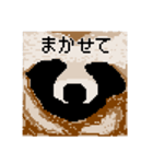 ドットのたぬき6（個別スタンプ：37）