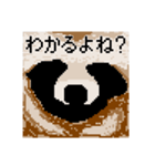 ドットのたぬき6（個別スタンプ：40）