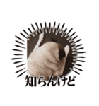 パーチクワ（個別スタンプ：1）