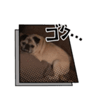 パーチクワ（個別スタンプ：8）