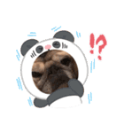 パーチクワ（個別スタンプ：12）