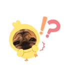 パーチクワ（個別スタンプ：21）