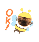 パーチクワ（個別スタンプ：24）