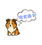 シェルティのだんごちゃん（個別スタンプ：3）