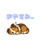 シェルティのだんごちゃん（個別スタンプ：8）