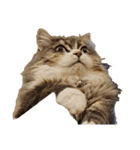 我が家の猫の日常 その1（個別スタンプ：7）