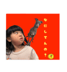 琴音とめい（個別スタンプ：5）