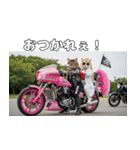 ワルかわ特攻隊！ワンコ＆ニャンコ2（個別スタンプ：3）