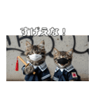 ワルかわ特攻隊！ワンコ＆ニャンコ2（個別スタンプ：6）