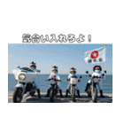 ワルかわ特攻隊！ワンコ＆ニャンコ2（個別スタンプ：29）