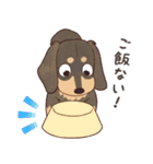 ダックス大好き！家族の連絡専用◆黒タン（個別スタンプ：5）