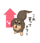 ダックス大好き！家族の連絡専用◆黒タン（個別スタンプ：7）