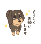 ダックス大好き！家族の連絡専用◆黒タン（個別スタンプ：8）