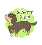 ダックス大好き！家族の連絡専用◆黒タン（個別スタンプ：11）