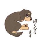 ダックス大好き！家族の連絡専用◆黒タン（個別スタンプ：26）