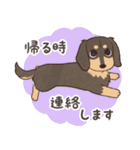 ダックス大好き！家族の連絡専用◆黒タン（個別スタンプ：29）