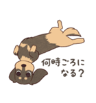 ダックス大好き！家族の連絡専用◆黒タン（個別スタンプ：31）