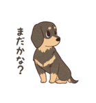ダックス大好き！家族の連絡専用◆黒タン（個別スタンプ：32）