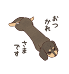 ダックス大好き！家族の連絡専用◆黒タン（個別スタンプ：36）