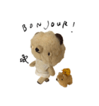 Anano Bear : punco（個別スタンプ：1）