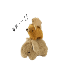 Anano Bear : punco（個別スタンプ：3）