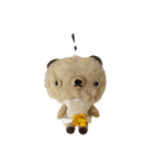 Anano Bear : punco（個別スタンプ：4）