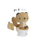 Anano Bear : punco（個別スタンプ：9）